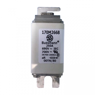 BUSSMANN歐標方體快速熔斷器170M2668