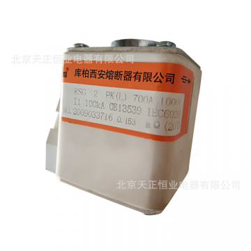  RSG系列快速熔斷器概述